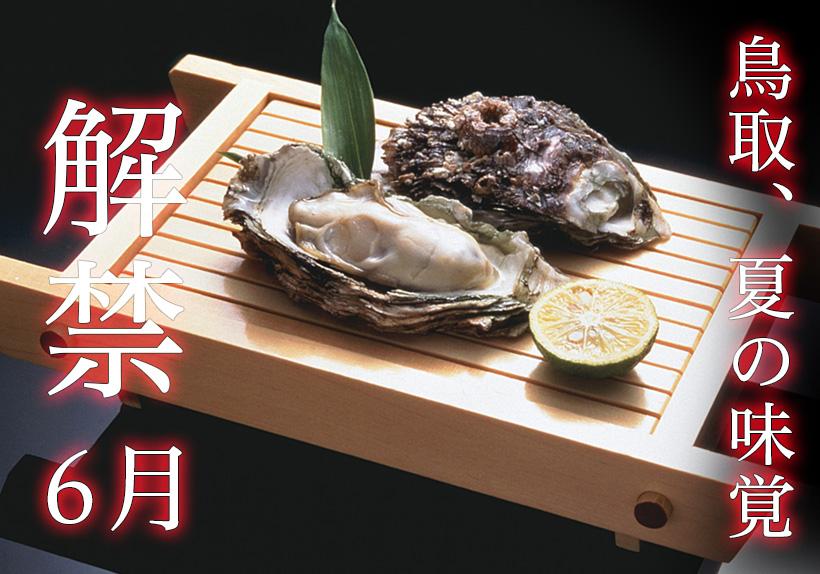 お客様へ、当店の岩牡蠣のご案内です